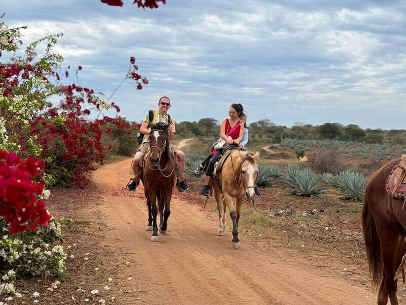 From Mazatlan: ATV & Horse Back riding with Tequila Tasting - Key Points