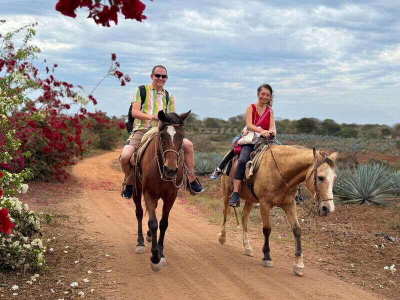 From Mazatlan: ATV & Horse Back riding with Tequila Tasting - An In-Depth Look at the Tour