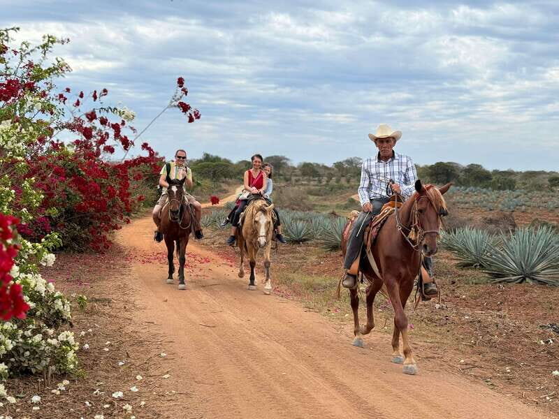 From Mazatlan: ATV & Horse Back riding with Tequila Tasting - What Could Be Better?