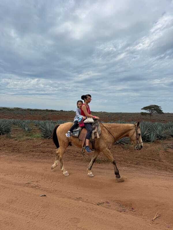 From Mazatlan: ATV & Horse Back riding with Tequila Tasting - Final Thoughts — Who Will Love This Tour?