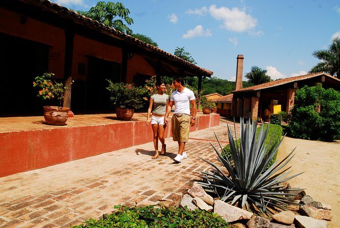 From Mazatlan - La Noria Artisan Tour The Blue Agave - Authentic Experiences and What Makes This Tour Stand Out