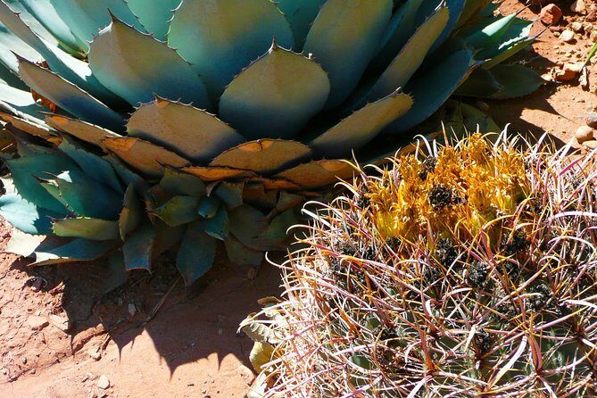From Mazatlan - La Noria Artisan Tour The Blue Agave - Final Thoughts