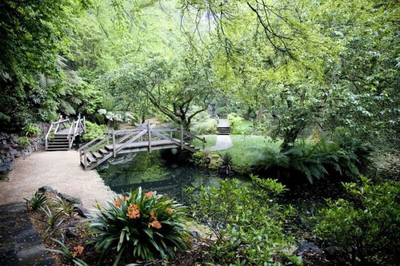 From Melbourne: Dandenong Ranges Private Day Tour - An Authentic Escape into Nature