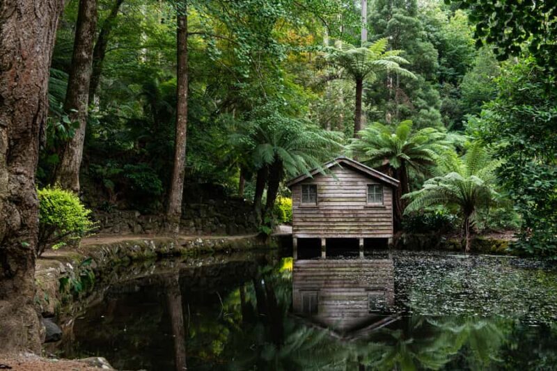 From Melbourne: Dandenong Ranges Private Day Tour - Practical Details and Value