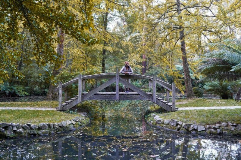 From Melbourne: Dandenong Ranges Private Day Tour - The Sum Up: Is It Worth It?