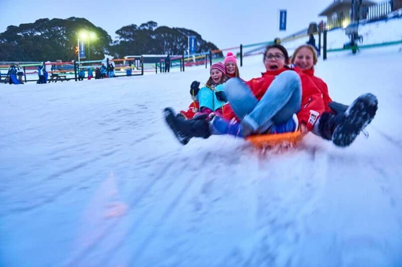 From Melbourne: Day Trip to Mt Buller by Premium Tour Coach - Introduction: Is This Tour for You?