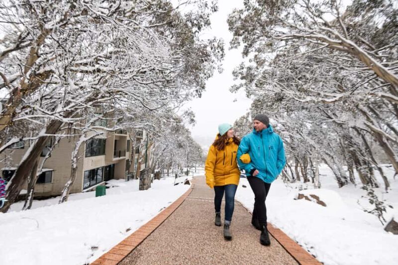 From Melbourne: Day Trip to Mt Buller by Premium Tour Coach - The Experience from Travelers’ Perspectives
