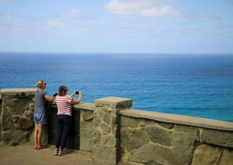 From Melbourne: Great Ocean Road & 12 Apostles Full-Day Tour - Cost and Value