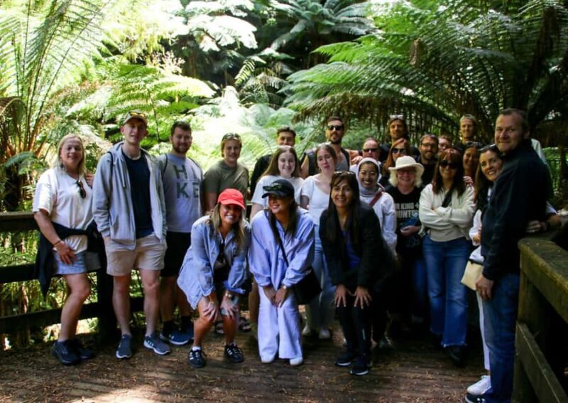 From Melbourne: Great Ocean Road & 12 Apostles Full-Day Tour - Who This Tour Is Best For