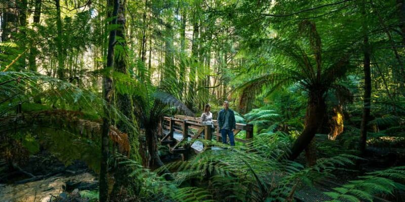 From Melbourne: Great Ocean Road & 12 Apostles Full-Day Tour - Final Thoughts