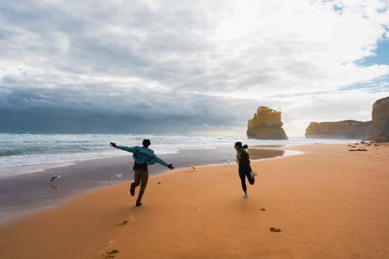 From Melbourne: Great Ocean Road, 12 Apostles & Koalas - Practical Tips for Travelers