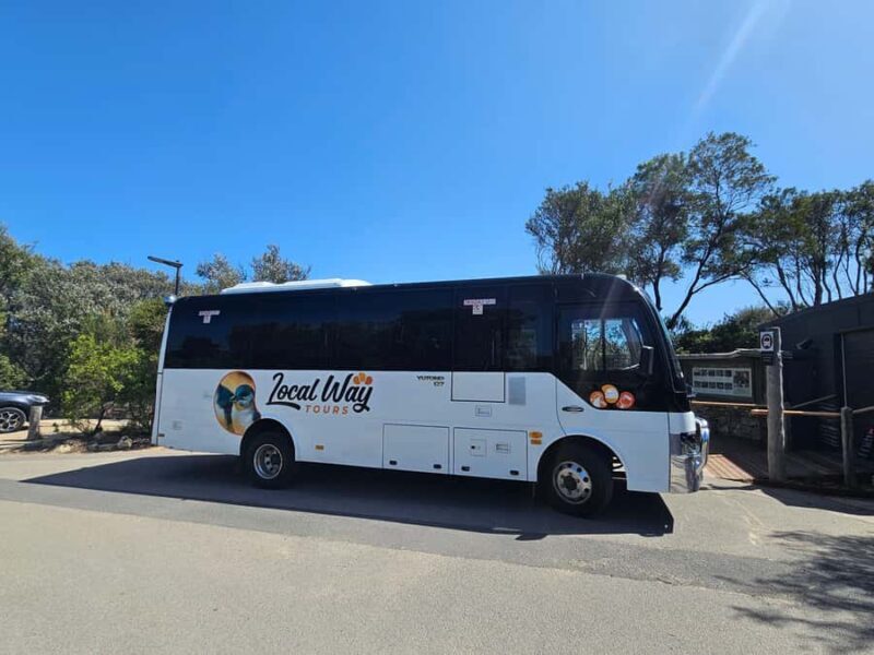 From Melbourne: Great Ocean Road, Dingos, Sparkling & Lunch - Final Thoughts