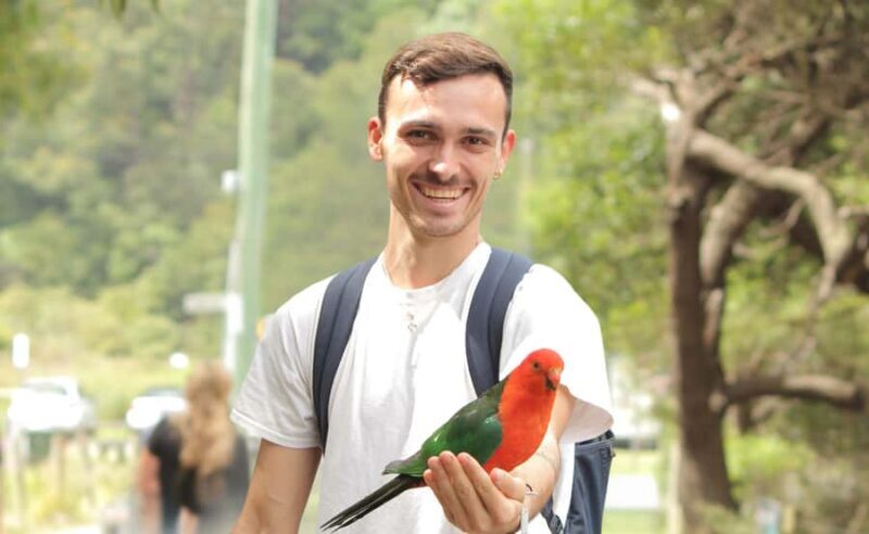 From Melbourne: Great Ocean Road Full-Day Guided Trip - An In-Depth Look at the Great Ocean Road Guided Tour