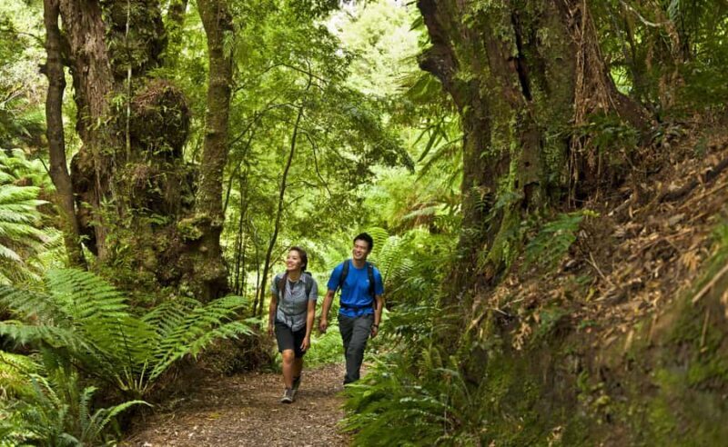 From Melbourne: Great Ocean Road Full-Day Guided Trip - Final Thoughts: Who Should Take This Tour?