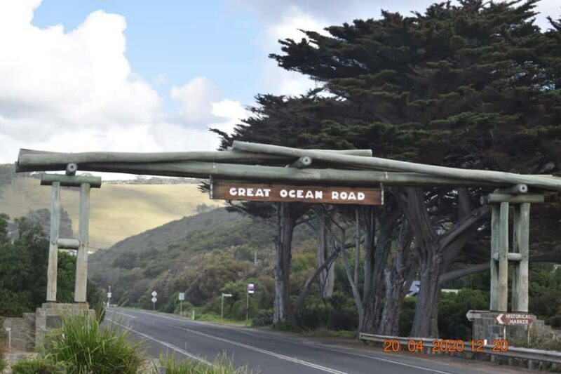 From Melbourne: Great Ocean Road Private Guided Tour by Car - Guided Forest Walk: Among the Tallest Trees