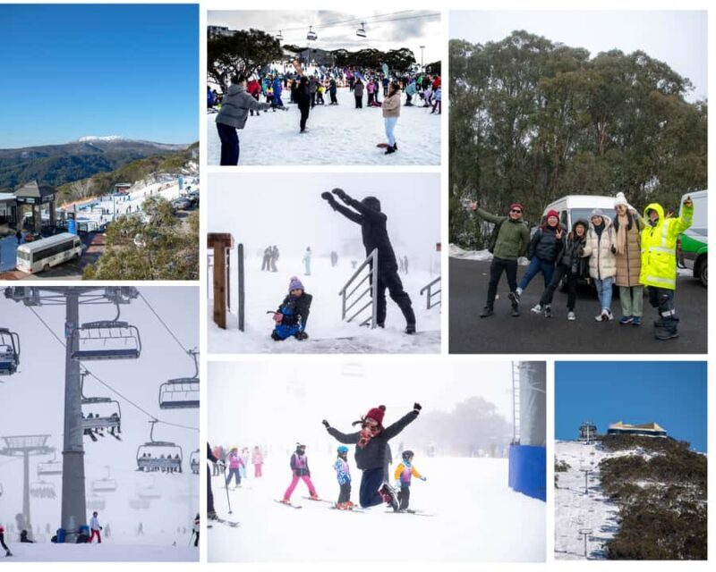From Melbourne: Mount Buller Guided Day Tour - An In-Depth Look at the Mount Buller Day Tour