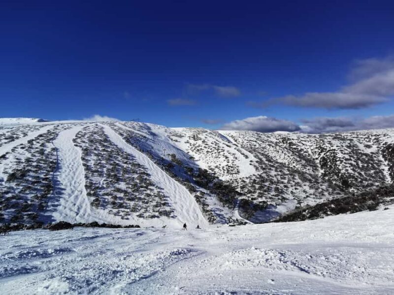 From Melbourne: Mount Buller Guided Day Tour - FAQs