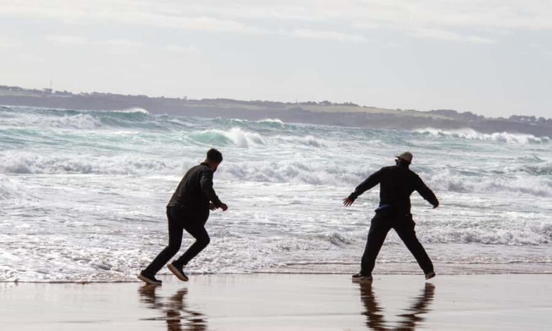 From Melbourne: Penguin Parade Afternoon Tour - Detailed Itinerary and Stops