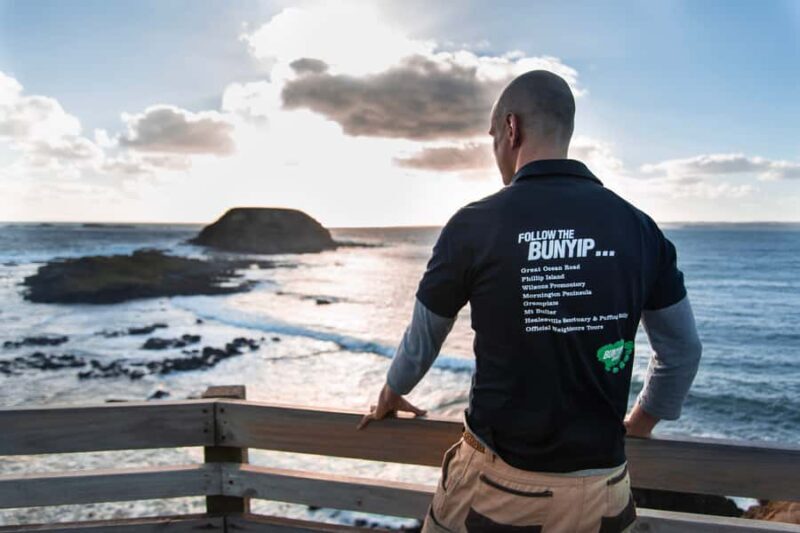 From Melbourne: Penguin Parade Afternoon Tour - The Sum Up