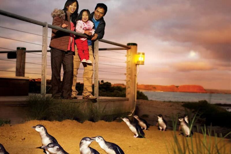 From Melbourne: Phillip Is Penguin Parade & Koala Reserve - Exploring the Full-Day Experience