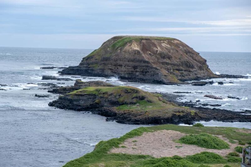 From Melbourne: Phillip Island and Penguin Parade Day Tour - Authentic Experiences from Travelers