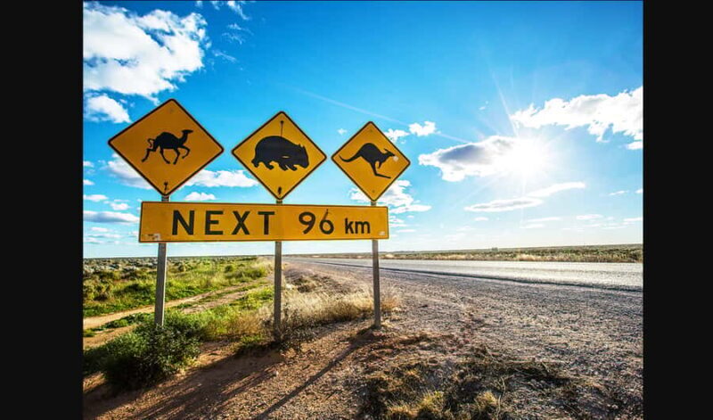 From Melbourne: Private Great Ocean Road Tour with Pickup - Key Points