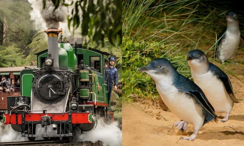 From Melbourne: Puffing Billy & Penguins Combo Tour Package - Key Points