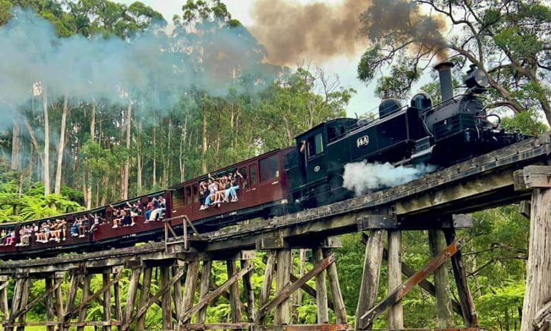 From Melbourne: Puffing Billy & Penguins Combo Tour Package - An Introduction to the Tour