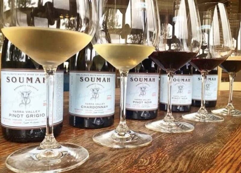 From Melbourne: Redwoods Forest & Yarra Valley Wine Tour - A Closer Look at the Tour