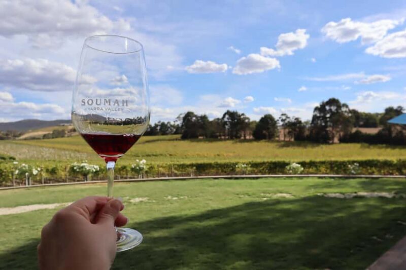 From Melbourne: Redwoods Forest & Yarra Valley Wine Tour - FAQs