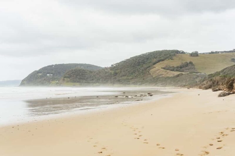 From Melbourne: Small-Group Great Ocean Road Day Trip - Who Will Love This Tour?