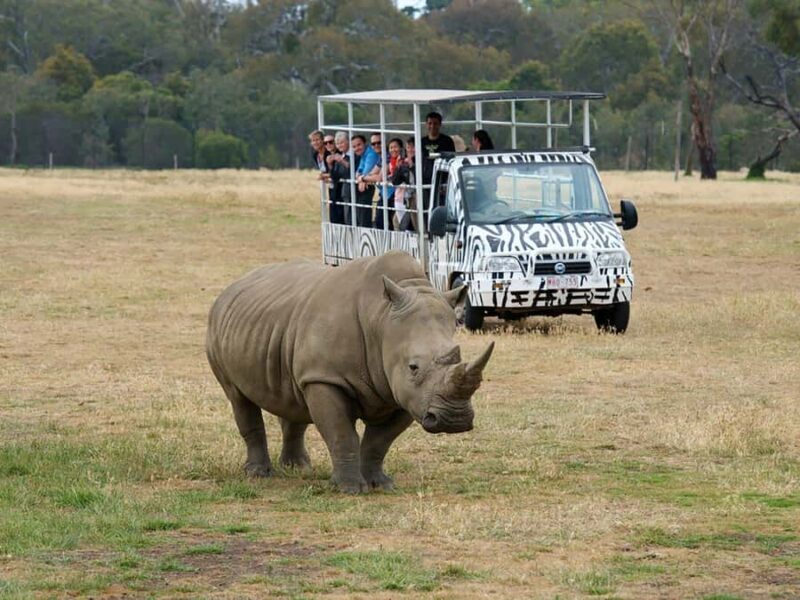 From Melbourne: Werribee Open Range Zoo & Werribee Mansion - Final Thoughts: Who Should Consider This Tour?