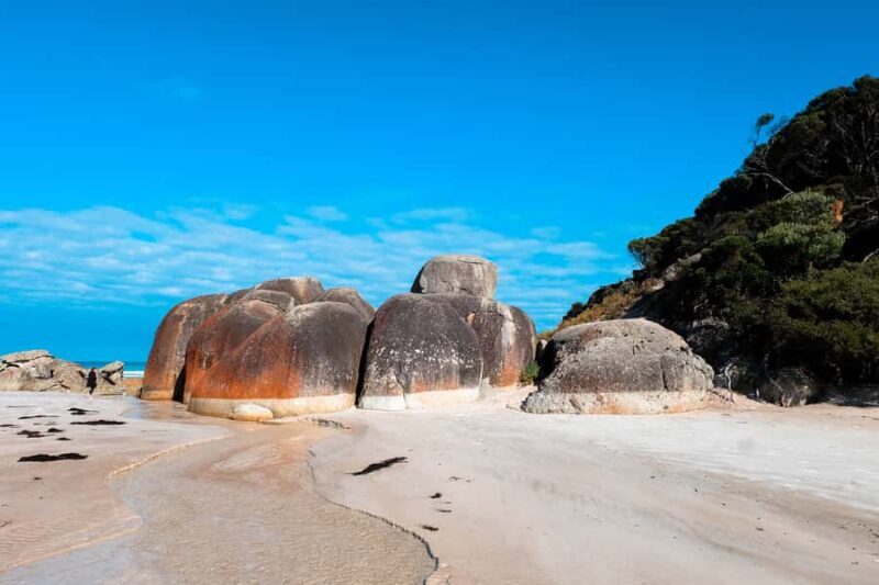 From Melbourne: Wilsons Promontory Small Group Day Tour - Wildlife and Nature Encounters