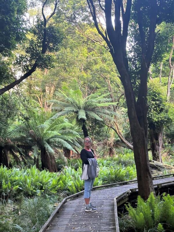 From Melbourne: Wilsons Promontory Wilderness Tour - Introduction: What this tour offers and who it suits