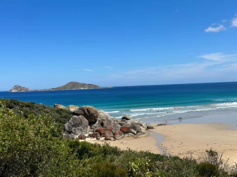 From Melbourne: Wilsons Promontory Wilderness Tour - What you can expect at each stop