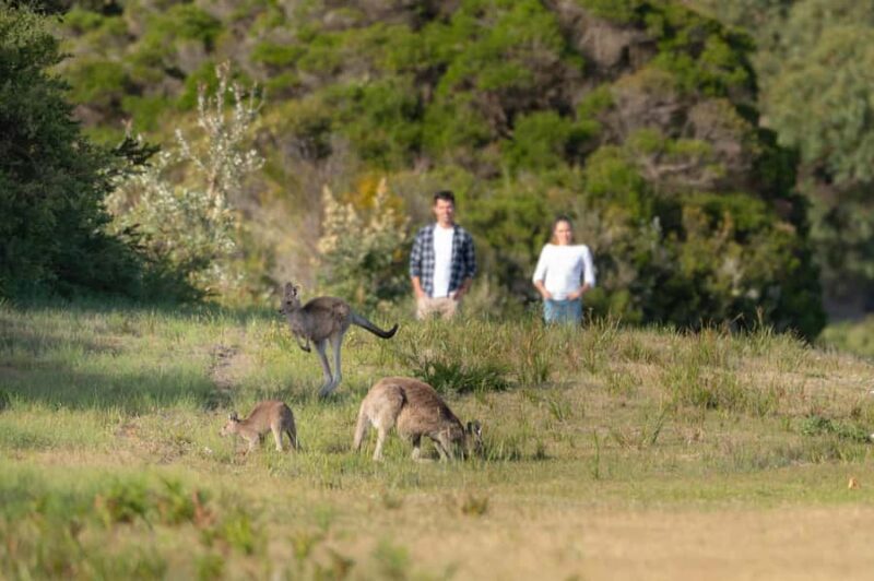From Melbourne: Wilsons Promontory Wilderness Tour - FAQs