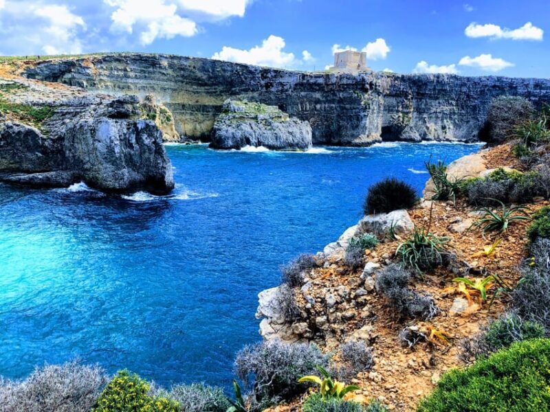 From Mellieha: Three Bay Cruise including the Blue Lagoon - The Booking and Regulations