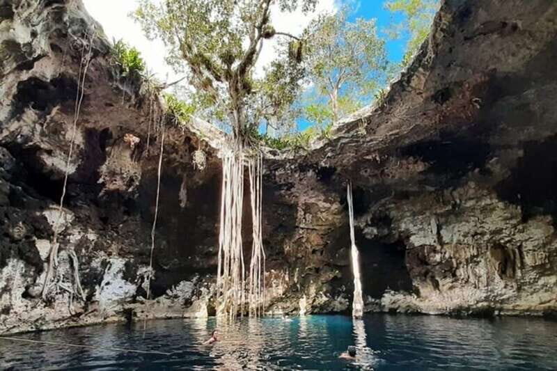 From Merida: 3 Cenotes - Who Should Consider This Tour?