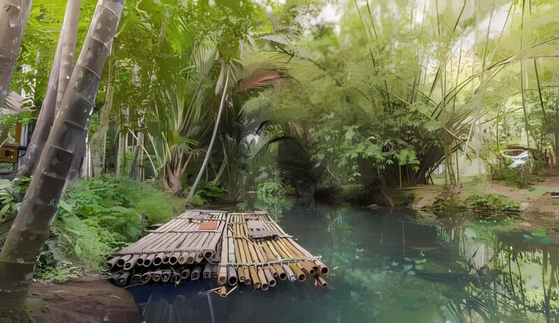 From Merida: Beach, Mangrove and something more - A Comprehensive Look at the Tour Experience