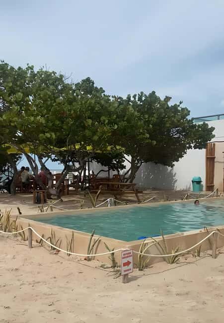 From Mérida: Beach Tour - An Honest Look at the From Mérida: Beach Tour