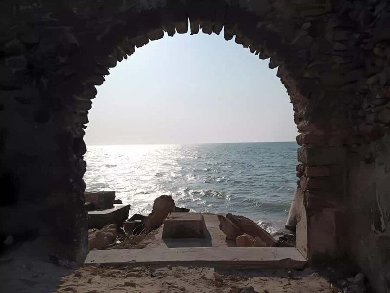 From Mérida: Celestún, flamingos, and the beach - The Experience, According to Reviews