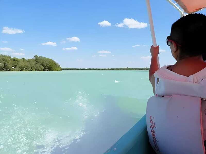 From Mérida: Celestún, flamingos, and the beach - Pricing and Value