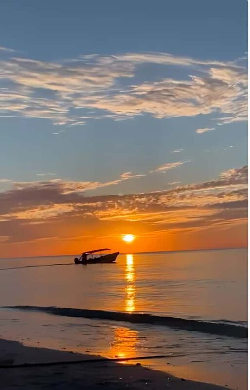 From Mérida: Celestún, flamingos, and the beach - FAQ