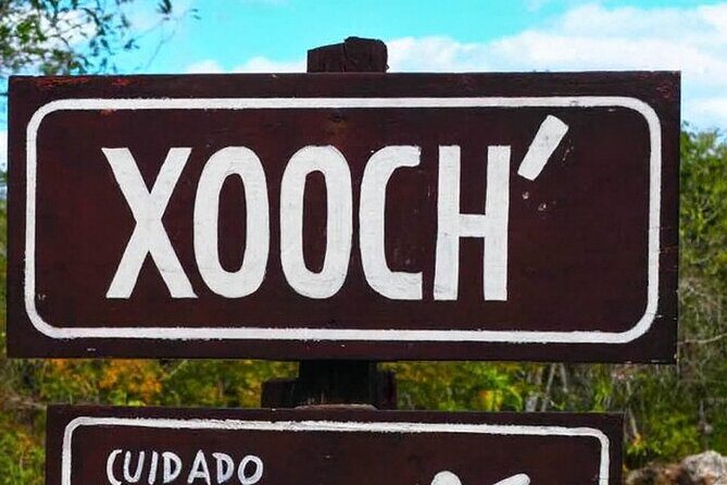 From Merida Cenotes and Santa Barbara - The Sum Up