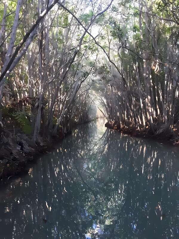 From Mérida: Enjoy nature, cenotes and beach in one day - Detailed Breakdown of the Itinerary