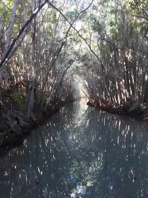 From Mérida: Enjoy nature, cenotes and beach in one day - Who This Tour Is Best For