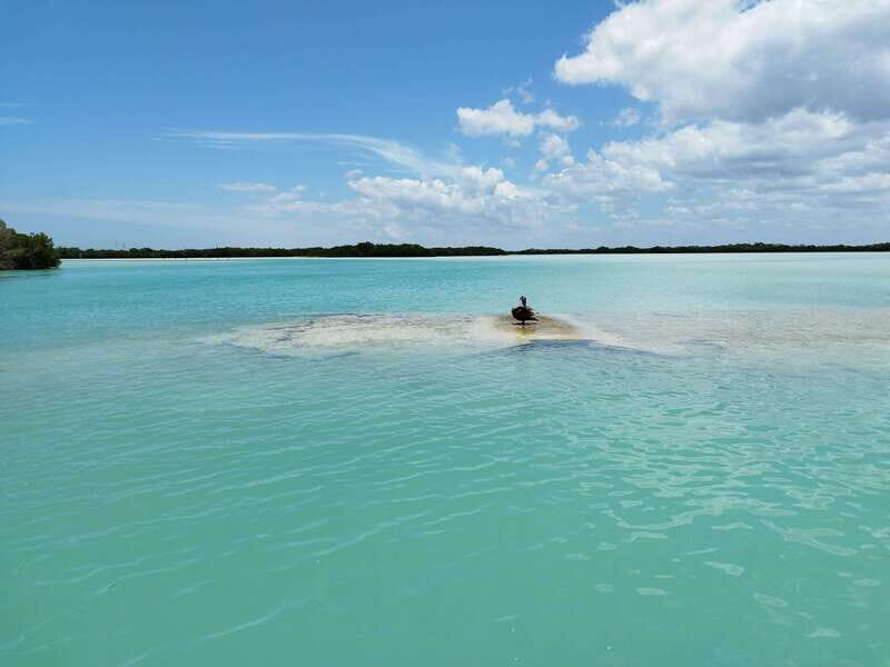 From Merida: Isla Columpios & Progreso - Key Points