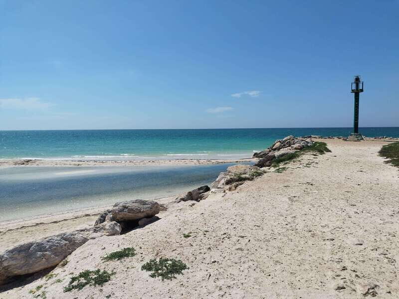 From Merida: Isla Columpios & Progreso - A Detailed Look at the Tour Experience