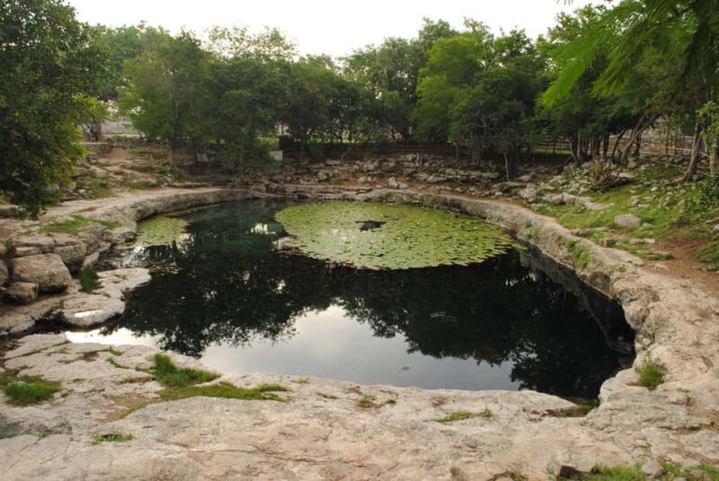 From Mérida: Mayan Dzibilchaltún & Progreso Beach Tour - The Itinerary in Detail