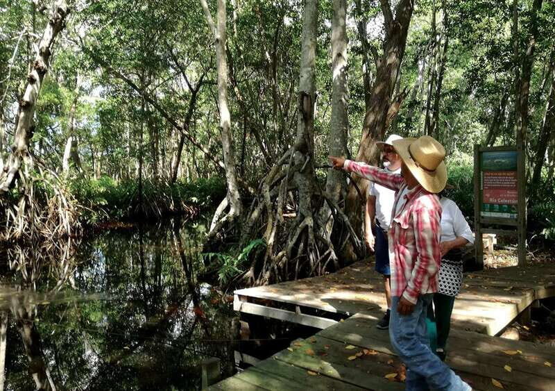 From Mérida: Ria Celestun Biosphere Reserve Tour - Exploring the Tour from Mérida